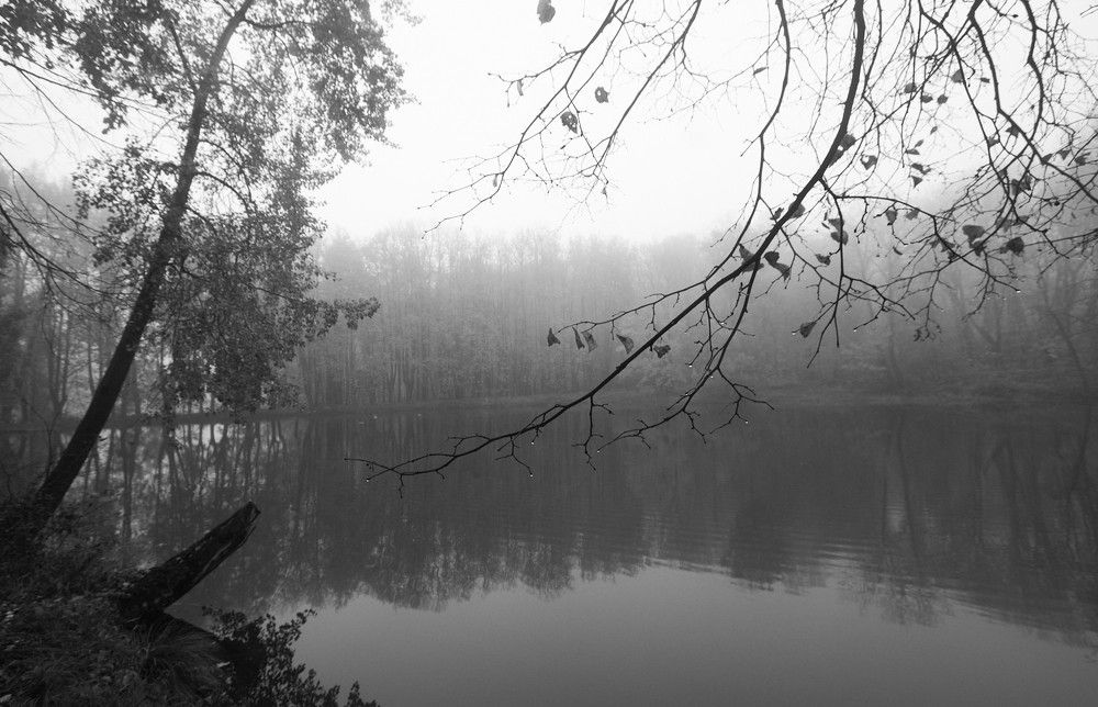 Photograph by Inna Tatarchenko