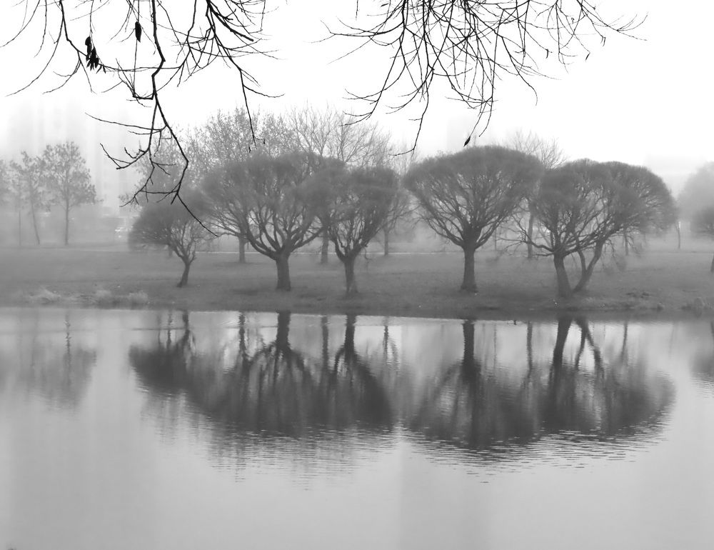 Photograph by Елена Жукова