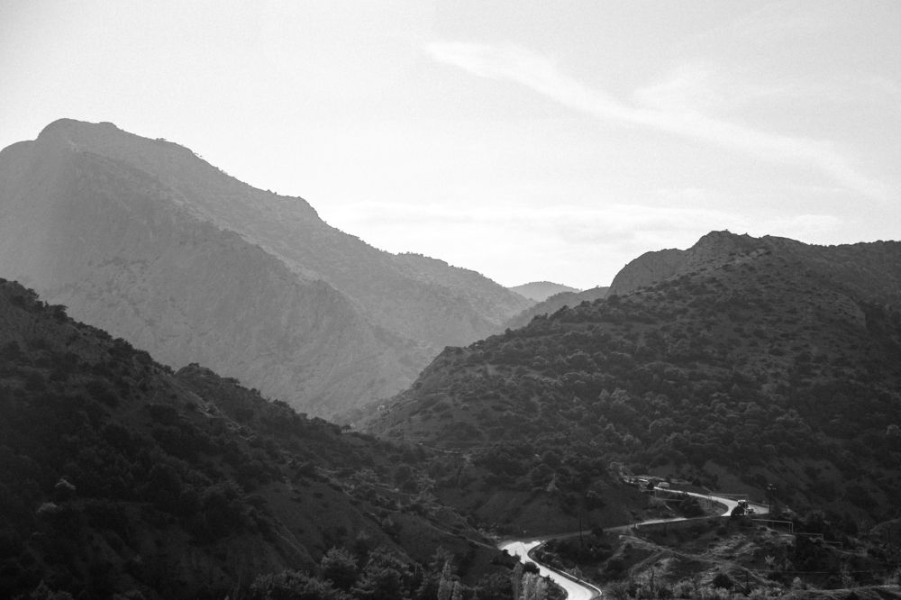 Фотография автора Ольга