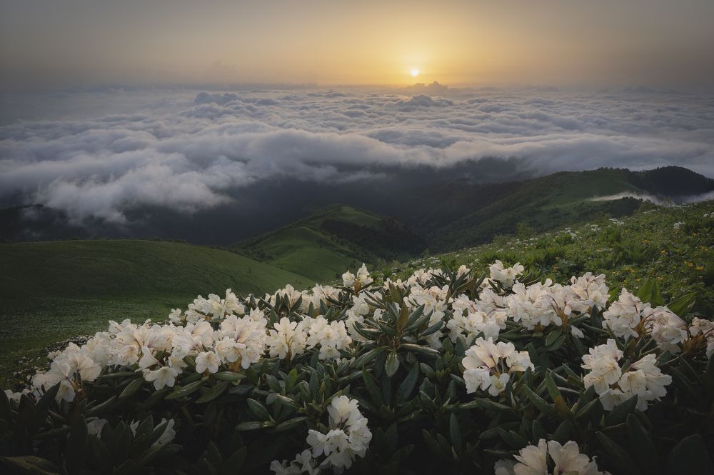 Фотография автора Mikhail Ioannisian