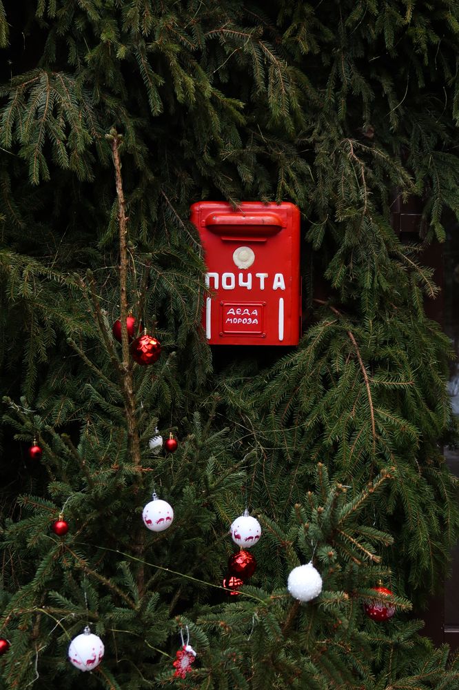 Photograph by Дарья Воронкова