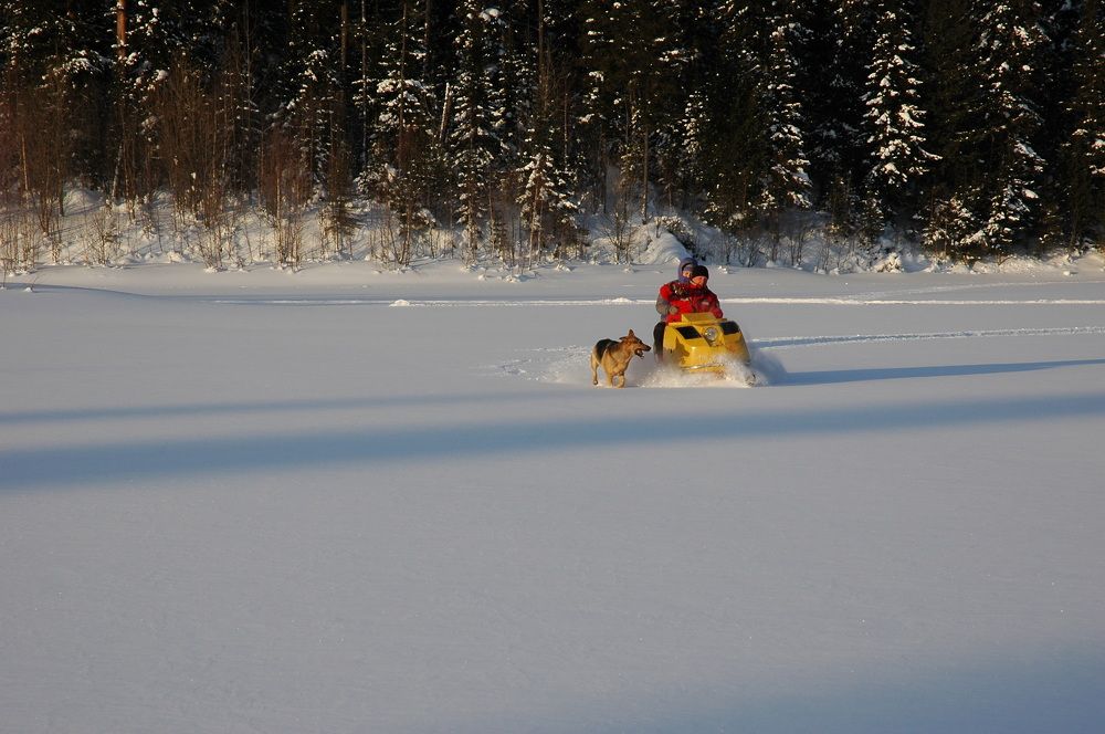 Фотография автора Сергей Тимофеев