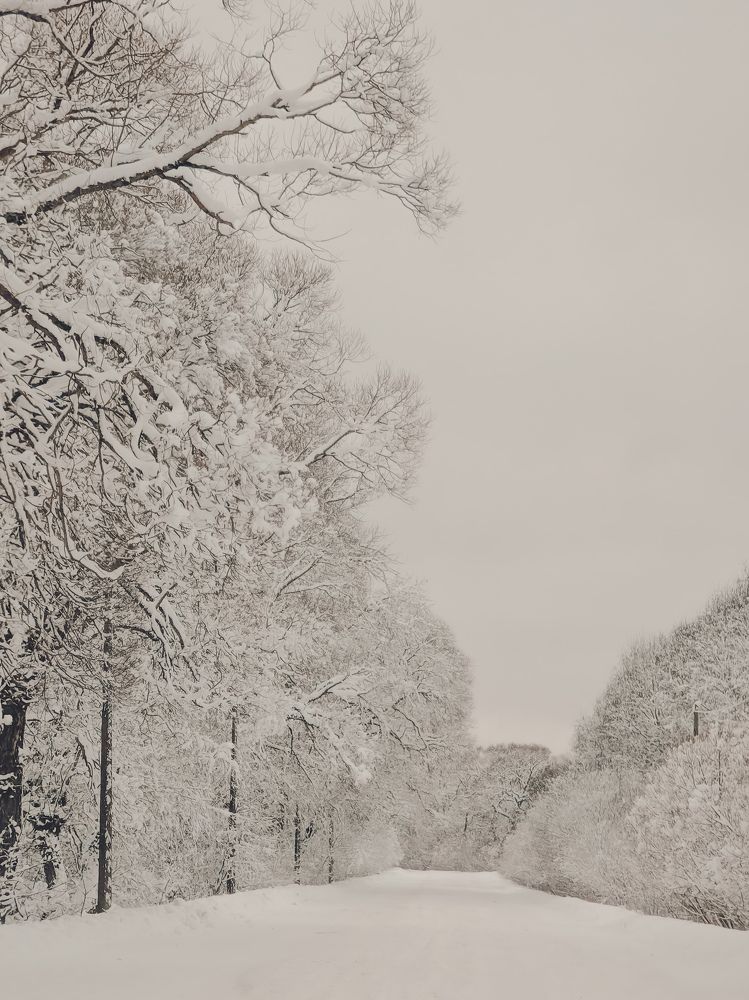 Фотография автора Данилова Наталья