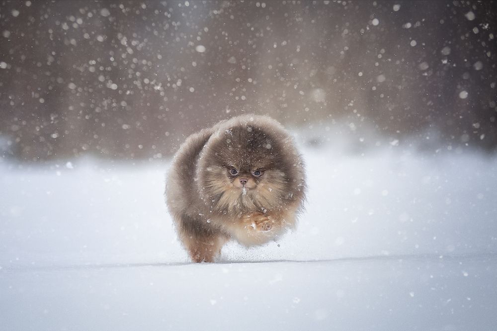 Photograph by Кристина Невлер