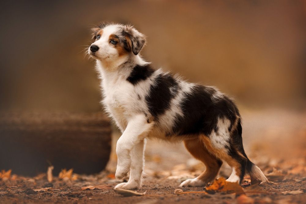 Photograph by Кристина Невлер