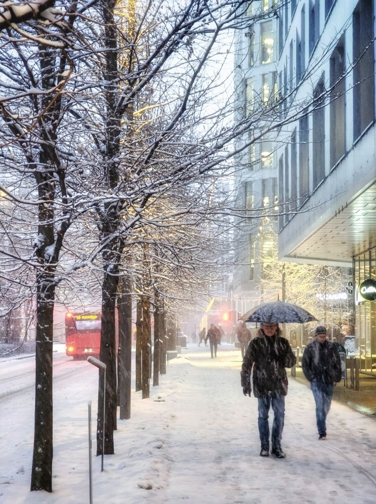 Фотография автора Alina Filimonova