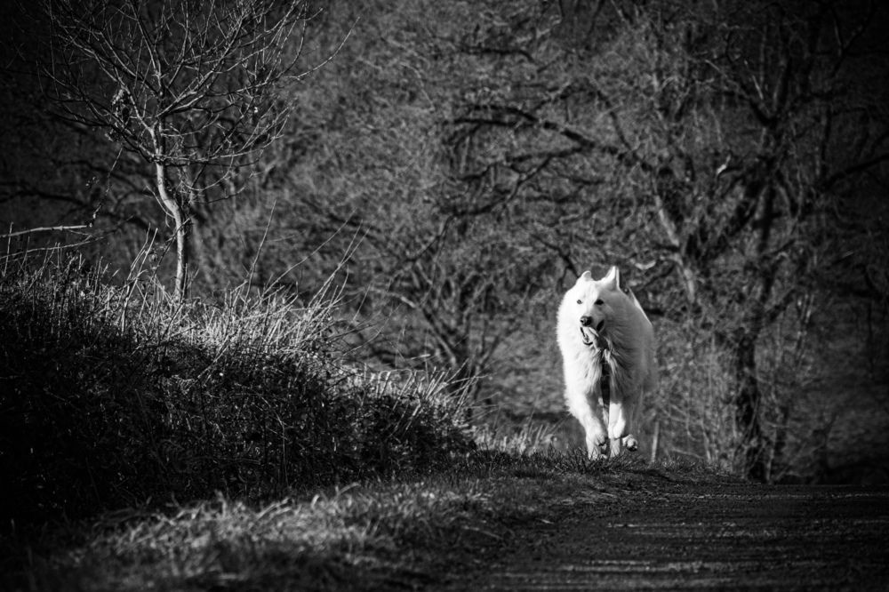 Фотография автора Emi D