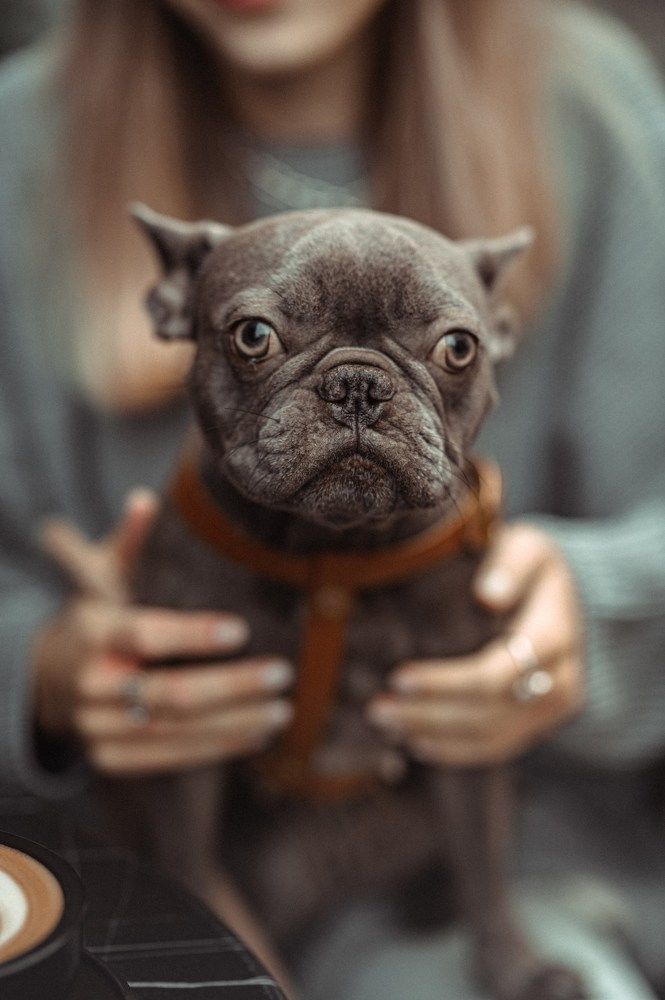 Photograph by Ирина Ганич