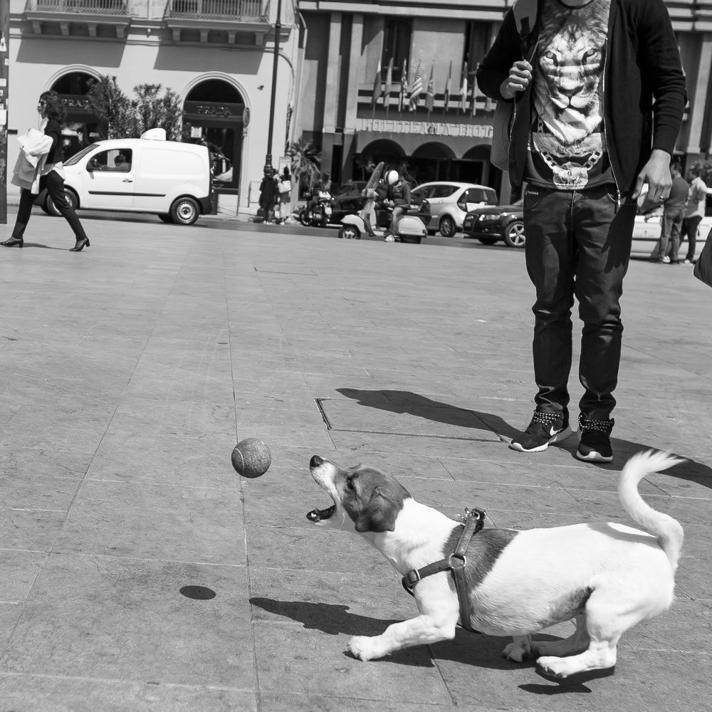 Photograph by Oleg Patrin