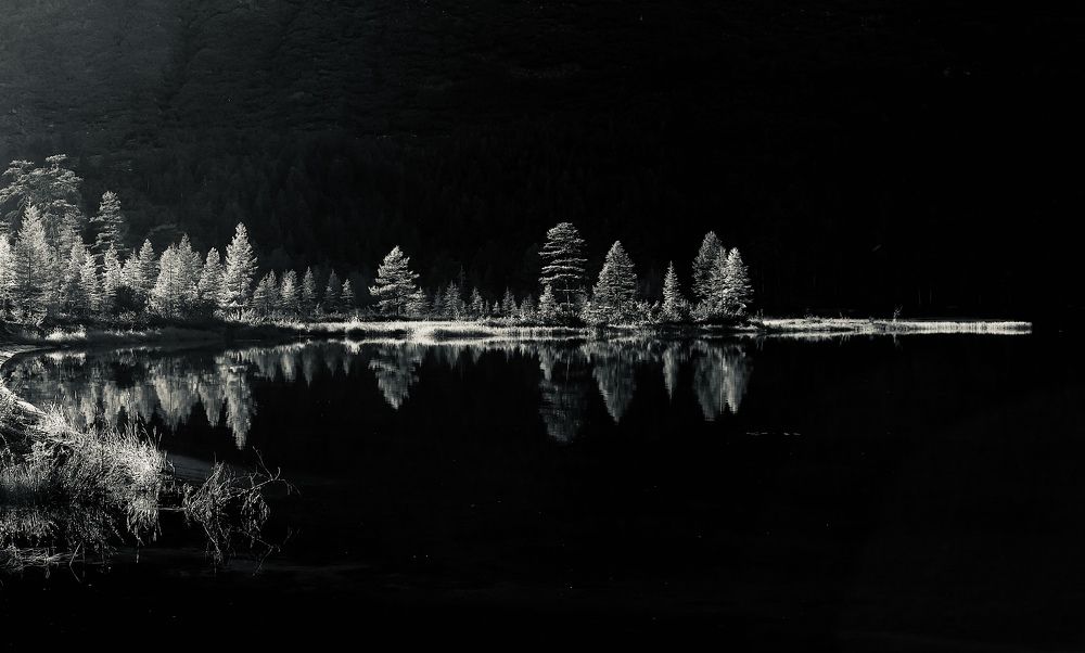 Reflection in the lake