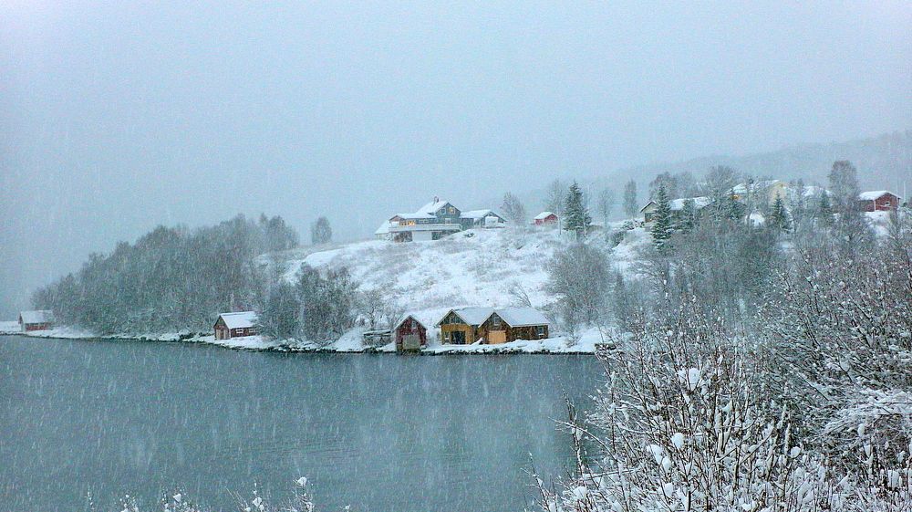 Photograph by Radu Marian