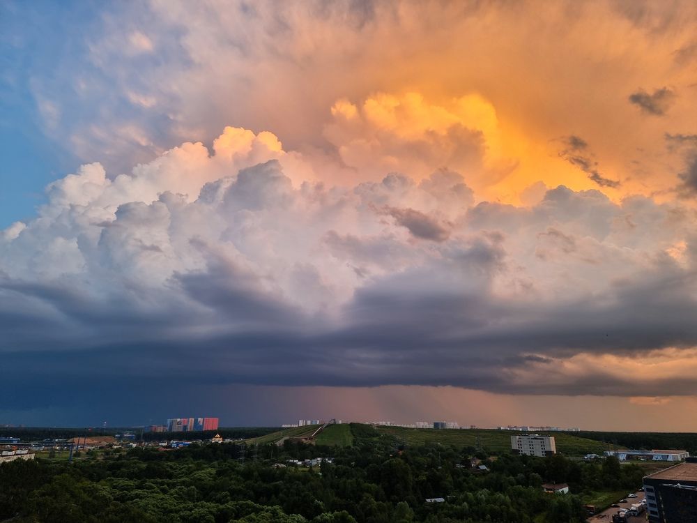 Фотография автора Светлана Алексеева