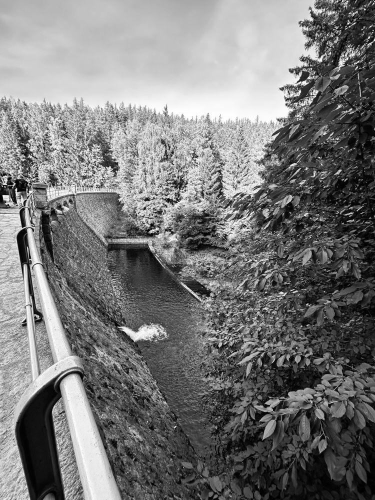 Photograph by Наумова Татьяна