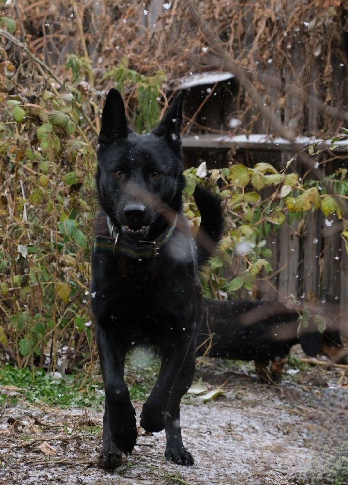 Photograph by Яна Истоцкая