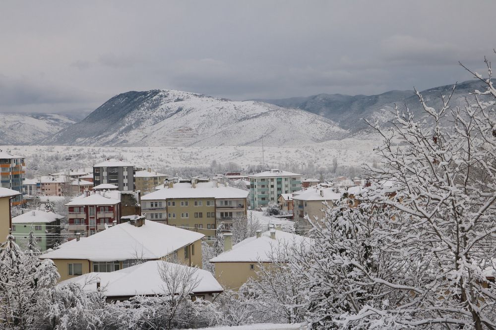 Photograph by Cengiz Yalcin