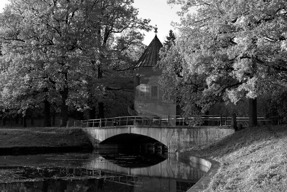 Photograph by Vitaliy