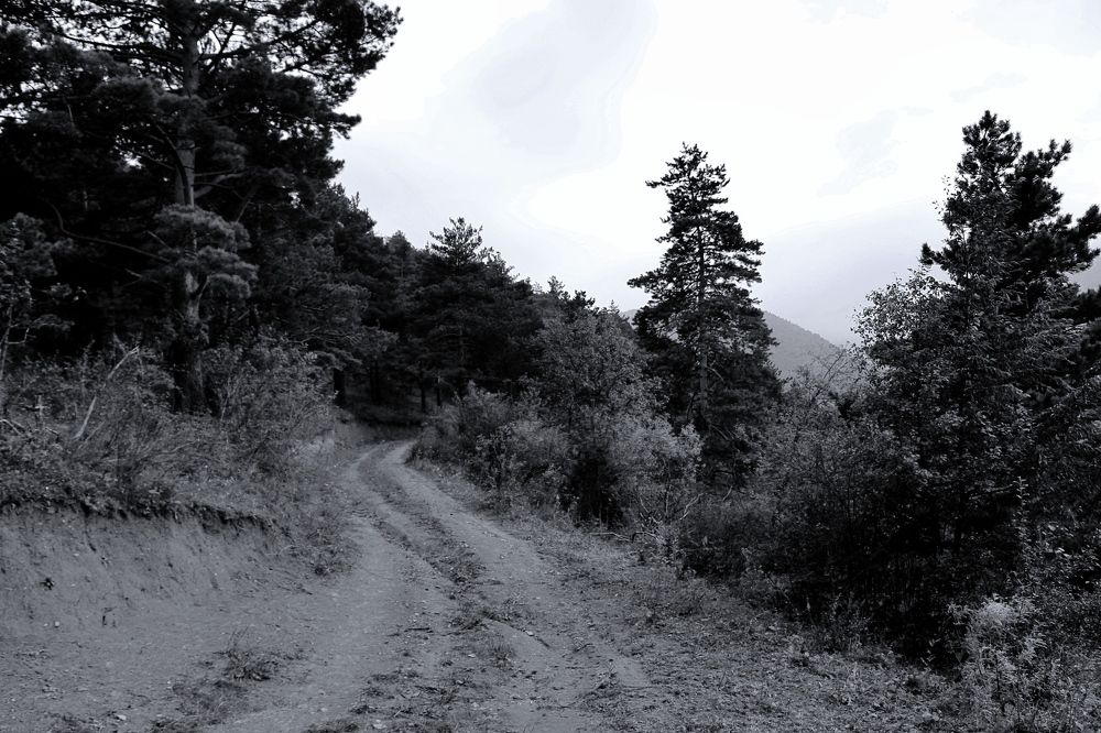 Photograph by Adam Yandiev