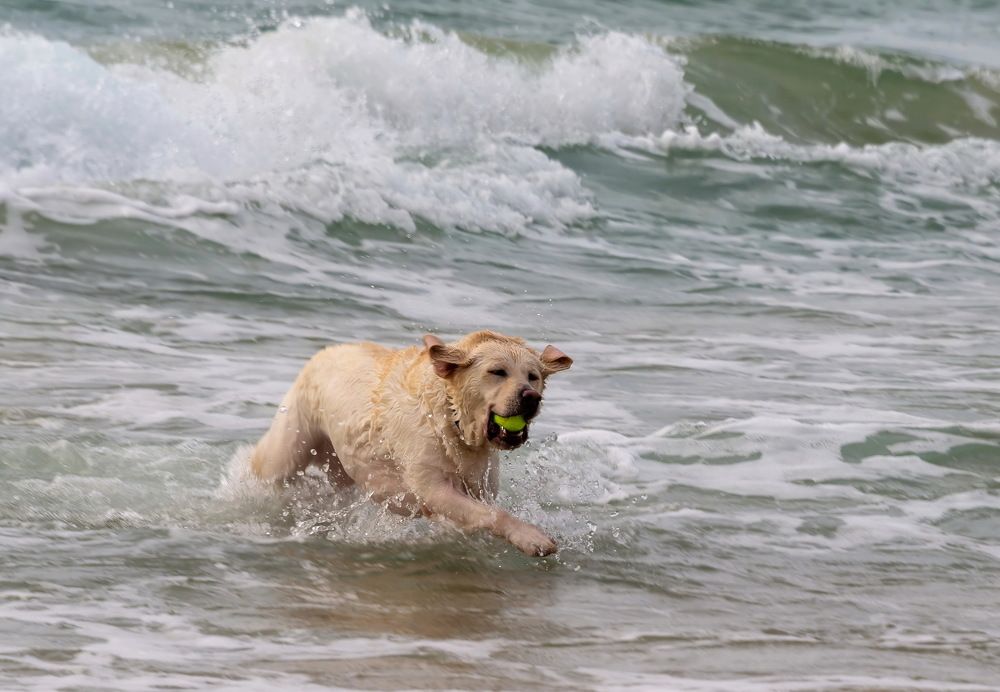 Photograph by Vladimir Bragilevsky