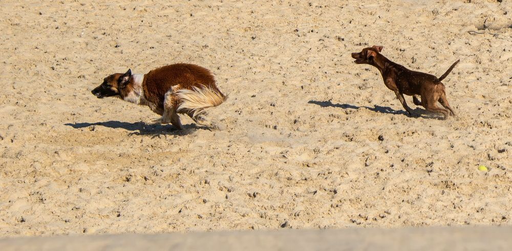 Photograph by Vladimir Bragilevsky