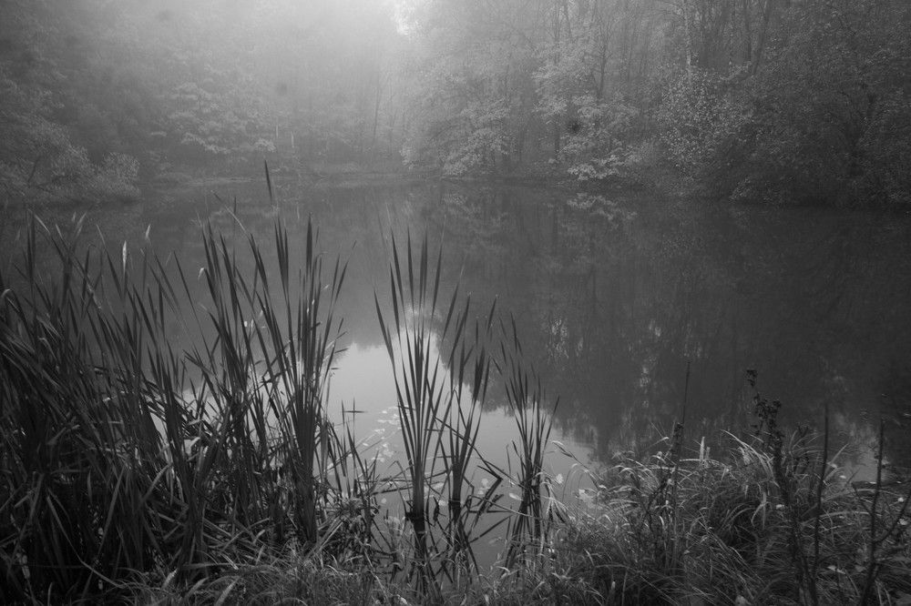 Photograph by Inna Tatarchenko