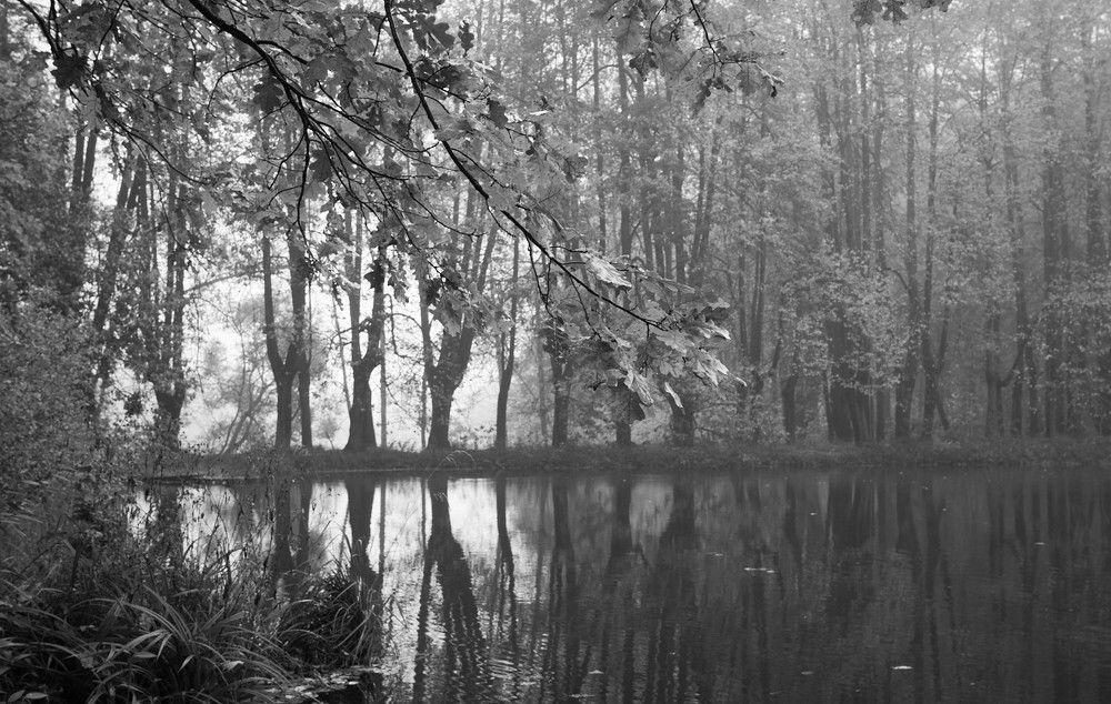 Photograph by Inna Tatarchenko