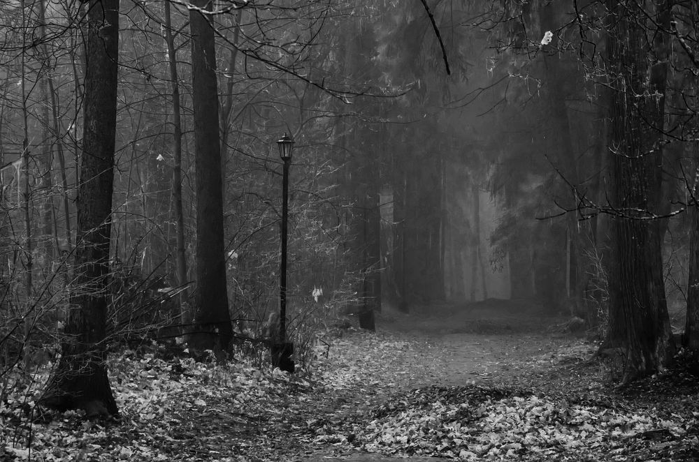 Photograph by Ольга Заповедная