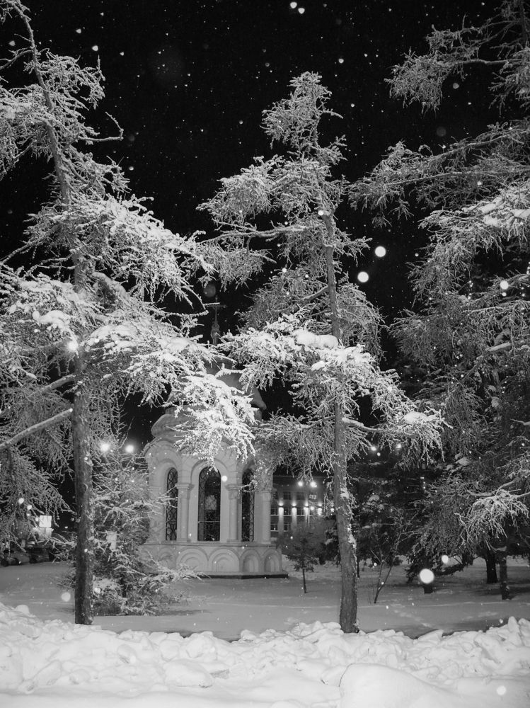 Photograph by Алексей Мякота