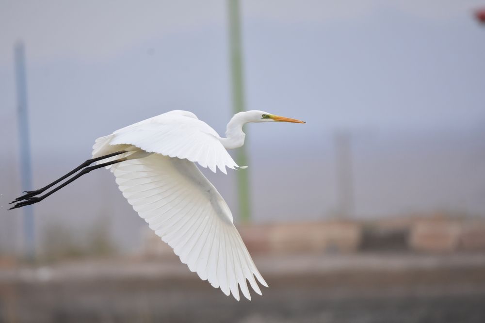 Фотография автора Reihaneh Miranzadeh