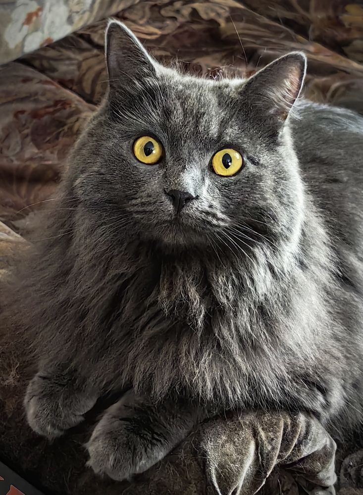 Photograph by Кристина Феминова