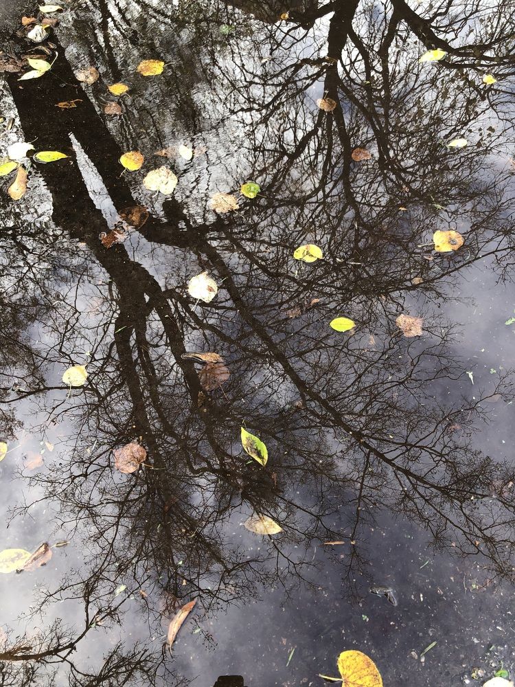 Photograph by Татьяна Калайда