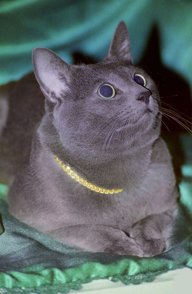 Photograph by Всеволод Сахновский