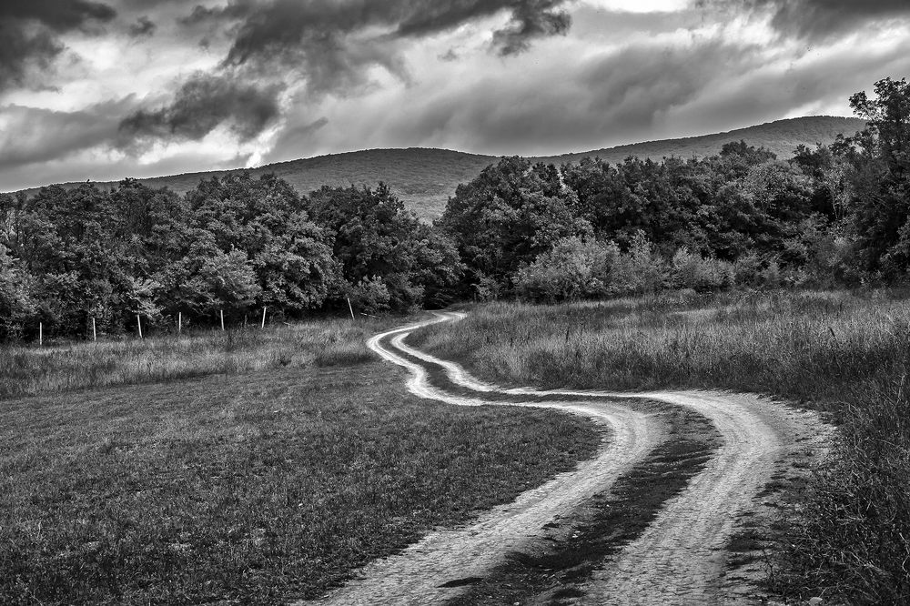 Photograph by Елена Ворошина