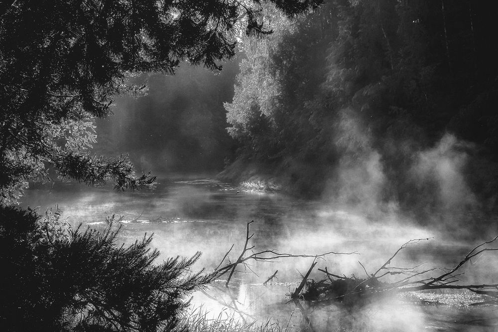 Photograph by Елена Ворошина