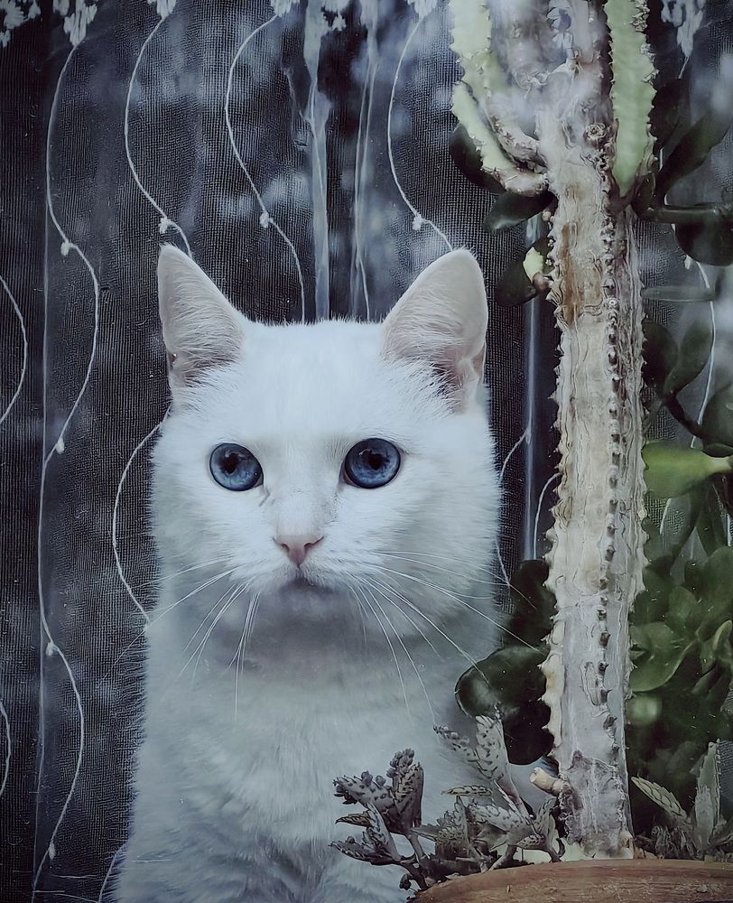 Photograph by Кристина Феминова