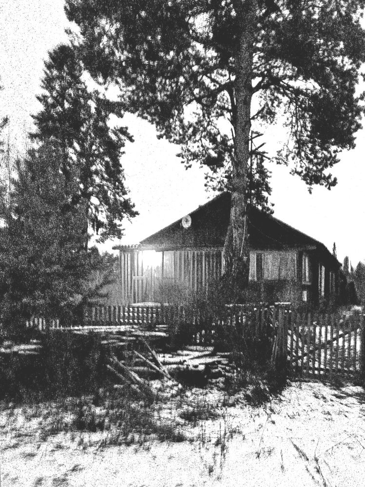 Домик в деревне