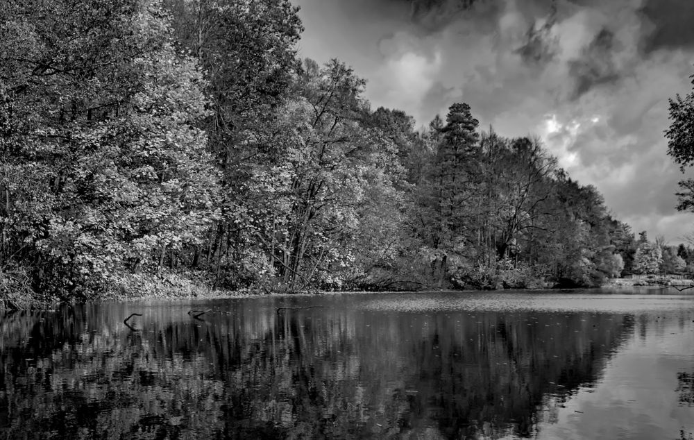 Photograph by Ольга Заповедная