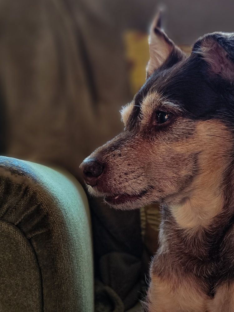 Photograph by Natalia Sopoćko