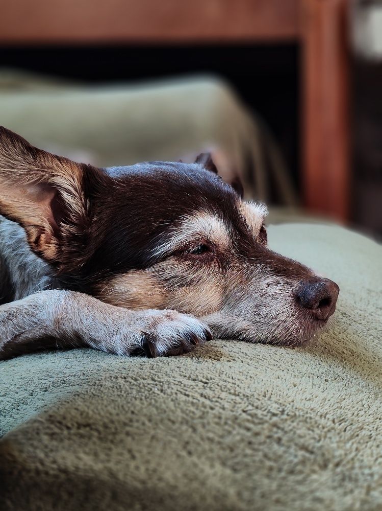 Photograph by Natalia Sopoćko