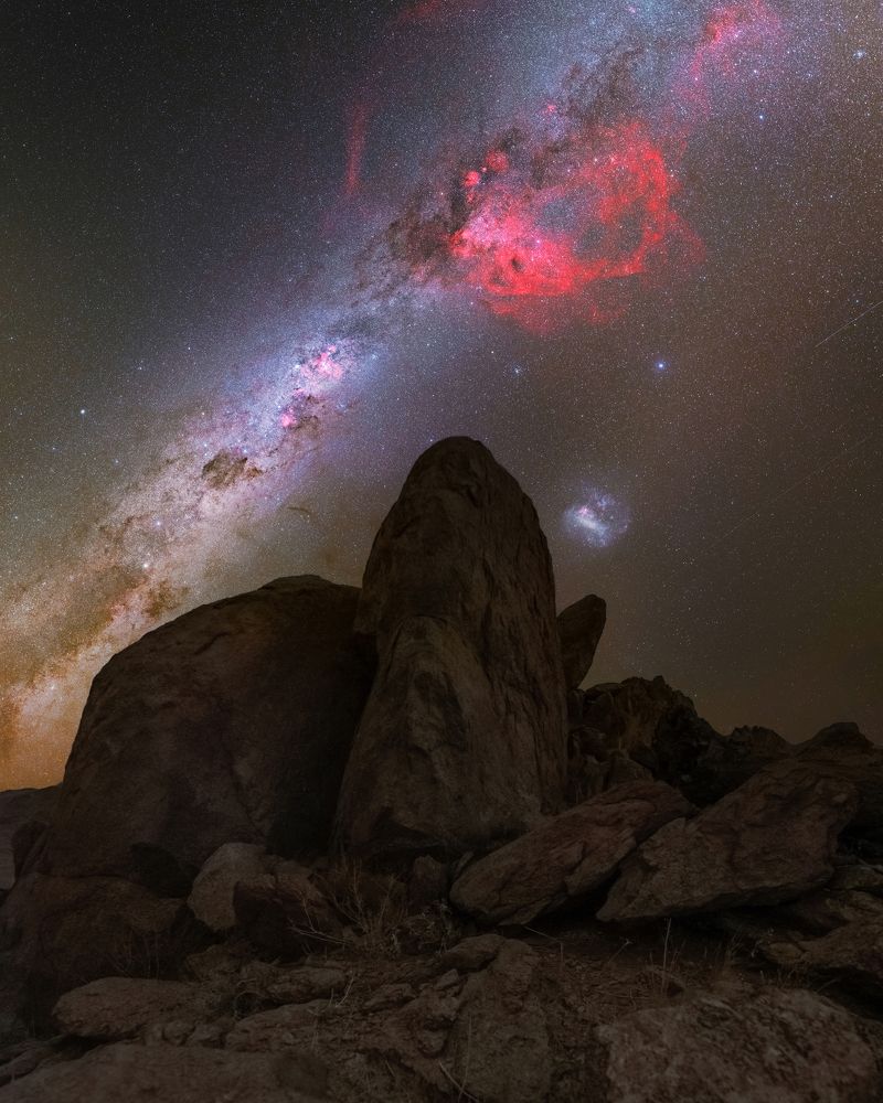 Red flame of Gum, Kanaan Retreat, May 2024, Namibia