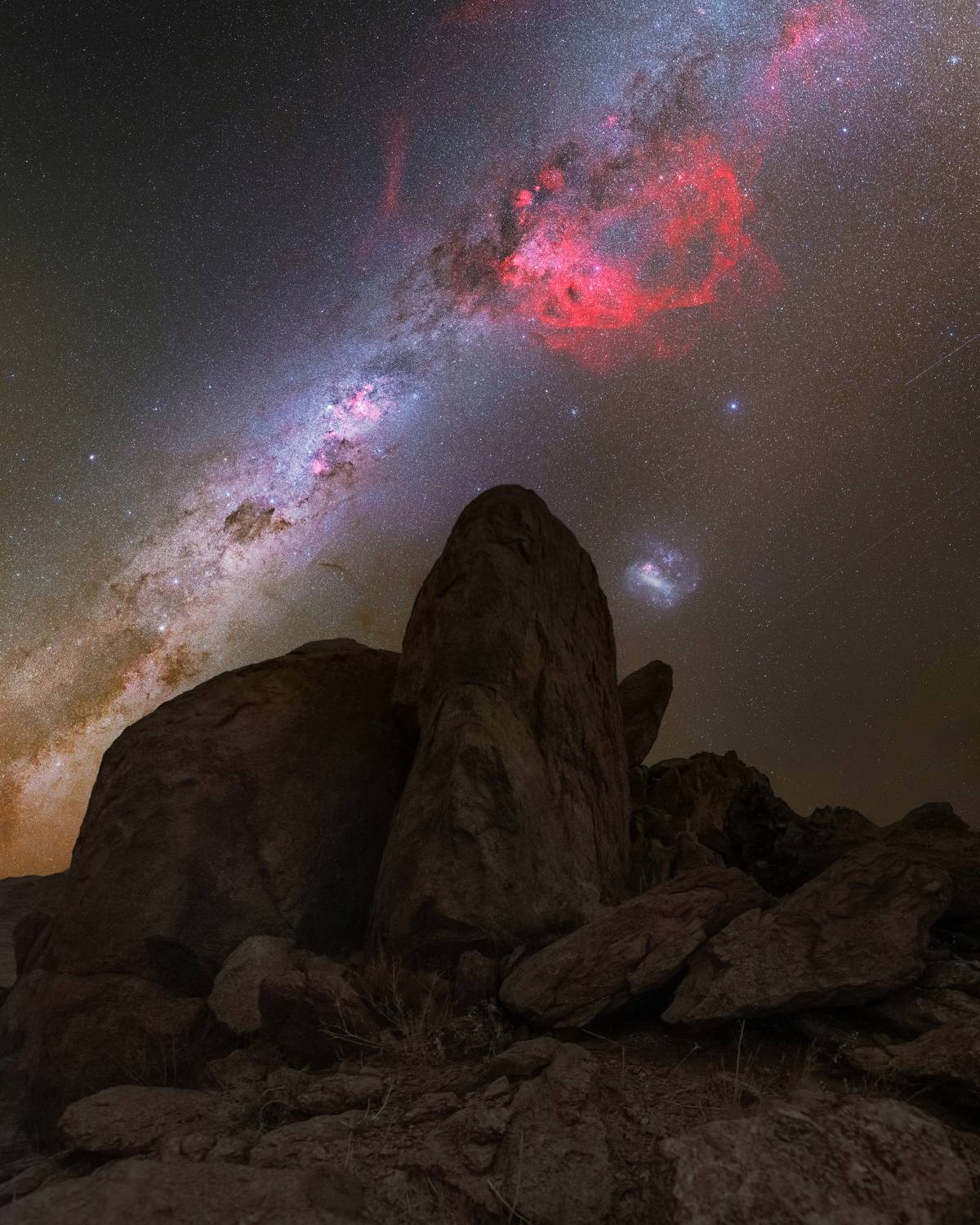 Red flame of Gum, Kanaan Retreat, May 2024, Namibia