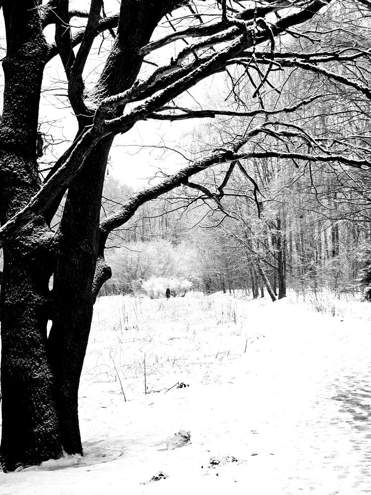 Photograph by Vol-de-M