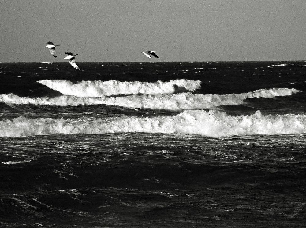 осенняя Балтика (autumn Baltic)