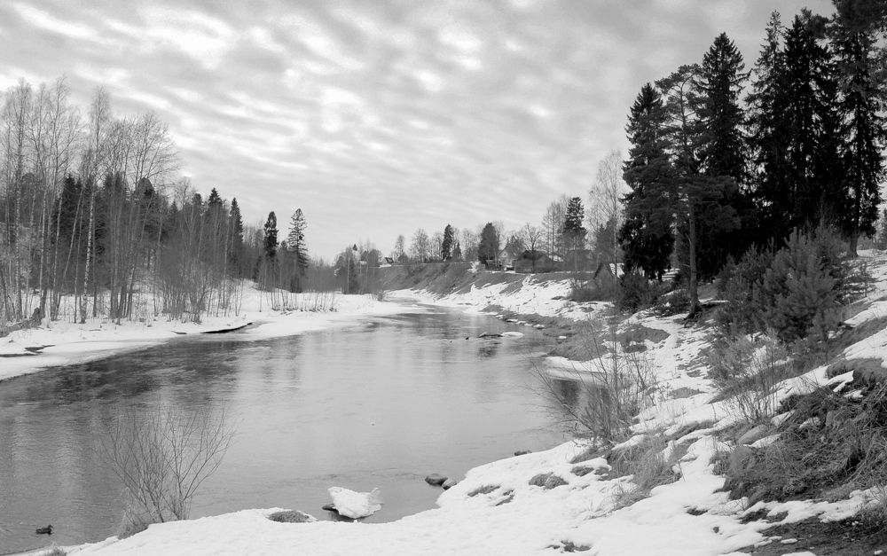 Photograph by Михаил Вечерский