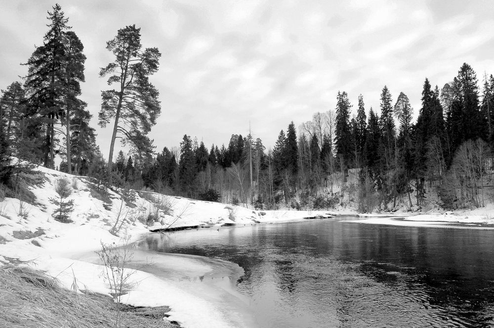 Photograph by Михаил Вечерский