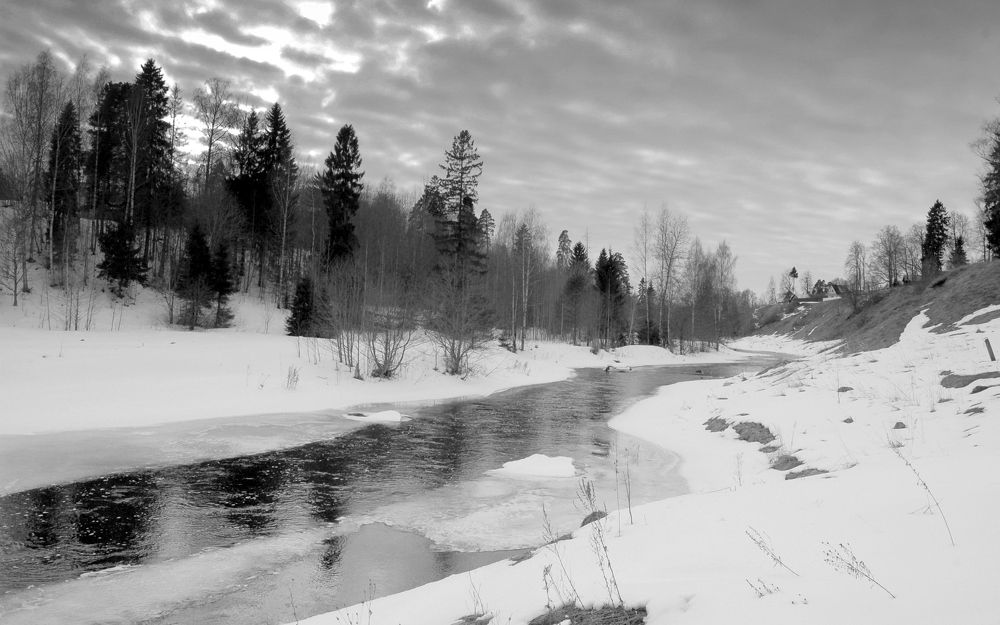 Photograph by Михаил Вечерский