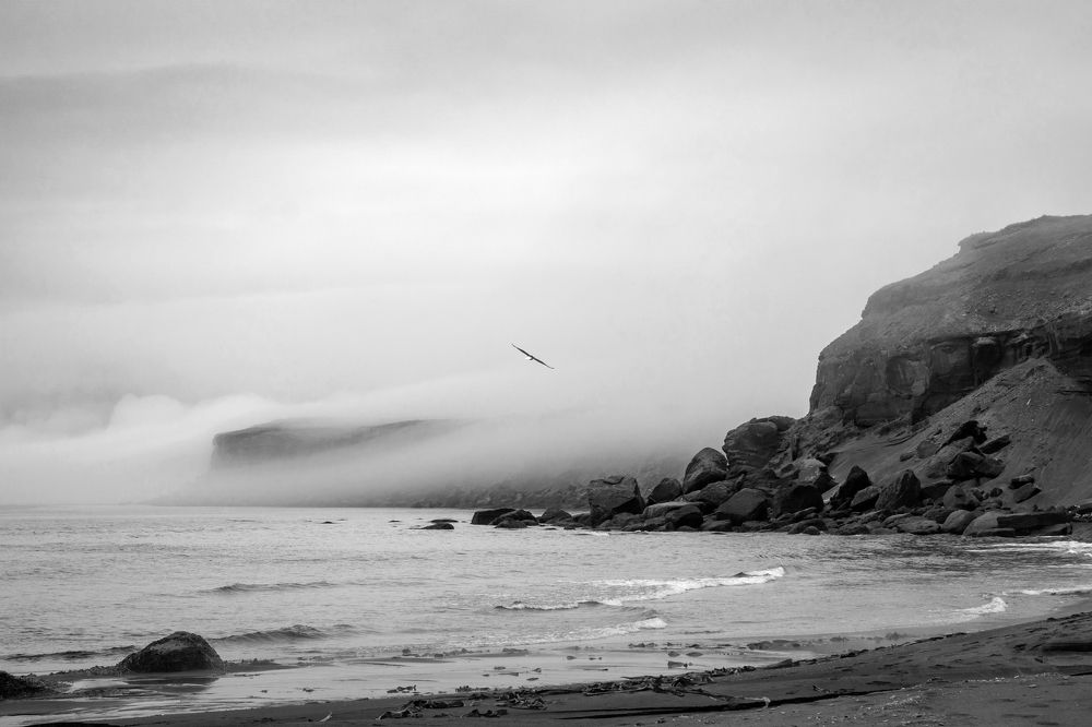 Photograph by Svetlana