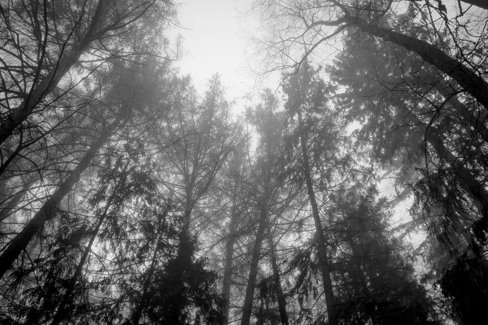 Photograph by Ольга Заповедная