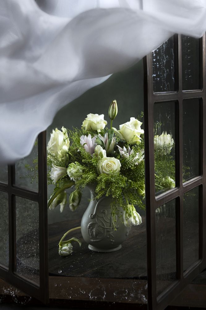 Photograph by Kostomarova Alla