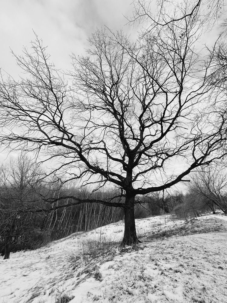Photograph by Мария Байбарина
