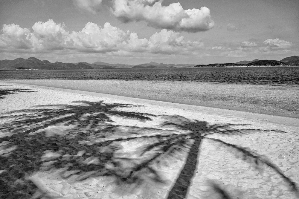 Фотография автора Евгения Никишина